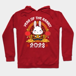 Year of the Rabbit 2023 Cute Rabbit Chinese New Year 2023 Hoodie